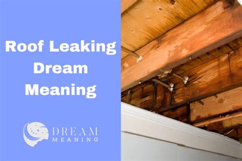 dreams about roof leaking|Dream of a Roof Leaking (8 Reasons